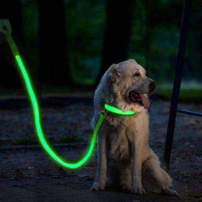 China Best Viable For Walking Safety Dog LED Leash Belt Type Flashing Charging LED Leashes TZ-PET5202U for sale