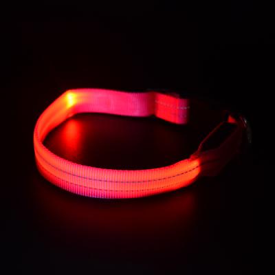 China Viable Flashing Led Dog Collar USB Rechargeable Illumiseen Nylon Dog Collar Suitable For All Seasons for sale