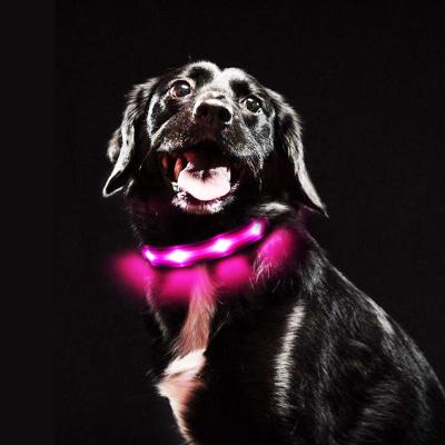 China Viable Pet Supplies Customized Quick Release Dog Collar Led Us Rechargeable Dog Flashing Led Collar for sale