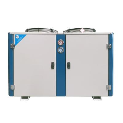 China Hotels Box Shaped Air Cooled Compressor Condenser Unit For Cold Room Storage for sale