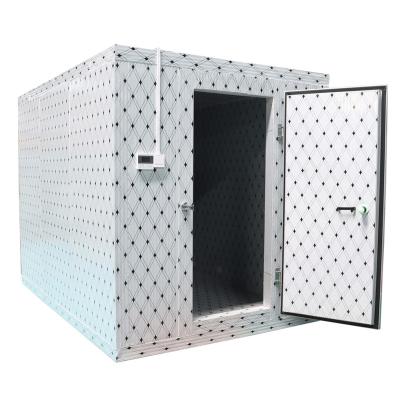 China Commercial Container Cold Room Price 20ft Container Walk In Freezer Cold Storage Unit Blast Refrigeration For Meat Fish Vegetables for sale