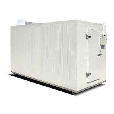 China Container Food Cold Storage Rooms Walk In Freezer Mobile Container Cold Room for sale