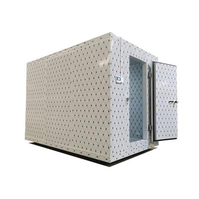 China Commercial Container Cold Room Price 20ft Container Walk In Freezer Cold Storage Unit Blast Refrigeration For Meat Fish Vegetables for sale