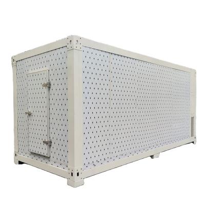 China Mobile Container Cold Storage Blast Freezer Room Walk In Cooler Storage Room For Meat for sale