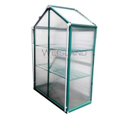 China WEISLAND Green House Aluminum Glass Small Winter Garden Easily Assembled Outdoor Polycarbonate Mini Greenhouses for sale