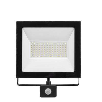 China Outdoor Lighting Sensor Flood Lamp Waterproof Wall Mounted 100 Watt Led Flood Light for sale