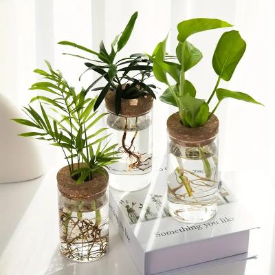 China Art Deco YOLOWE HOME Elegant 10cm Hydroponic Indoor Plant Vase Clear Glass Tabletop Bottle with Unique Bottle Shape for Indoor Plants for sale