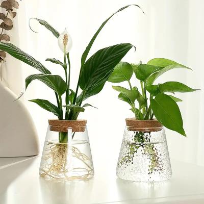 China Art Deco YOLOWE HOME Small Modern Clear Glass Vase Art Deco Design Hydroponic Plant Container Desktop Green Plant Pot Home Office Decor for sale