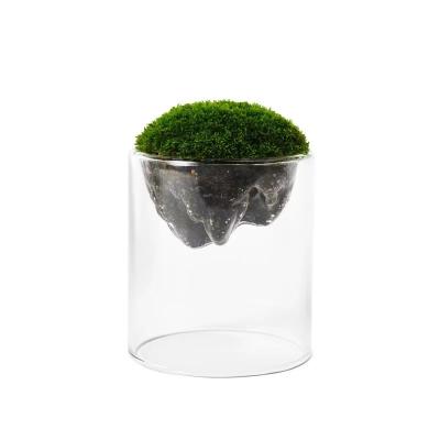 China Art Deco YOLOWE HOME Art Deco Design Moss Glass Vase Creative Mountain Style Home Micro Landscape Bonsai Hydroponic Meat Tabletop Vase for sale