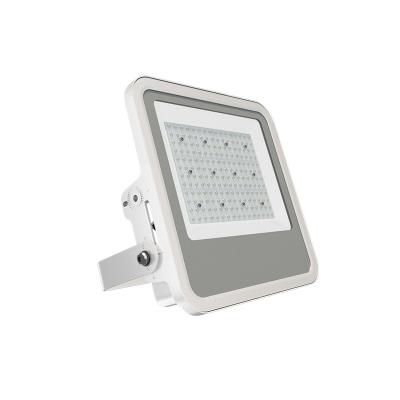 China ZGSM Tempered Glass IP66 LED Light Fixtures 150W Residential Flood Light for sale