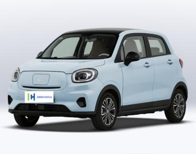 China 2024 Hochwertiges Familienelektroauto Sprungmotor T03 Neues Energiefahrzeug Sprungmotor Sprung T03 Ev Suv zu verkaufen