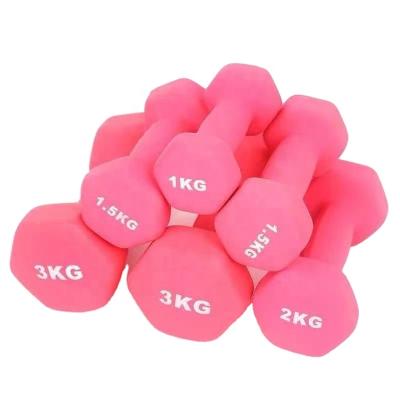 China cheap dumbbell Paint-baked dumbbell factory price neoprene dumbbell hex vinyl for sale