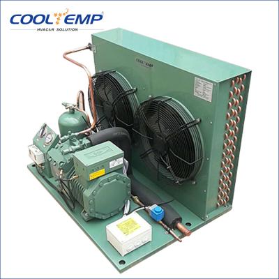 China Refrigeration Parts R404a Refrigerant Cold Room Refrigeration Condensing Unit Made in China for sale