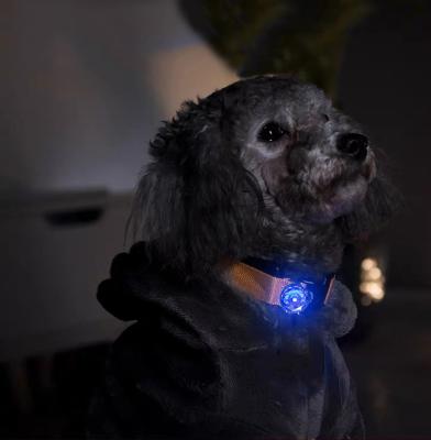 China Lights UMIONE Rechargeable Clip-on Safety Waterproof Walking Luminous Glow Necklace Dog Collar LED Light Pet Collar LED Light for sale