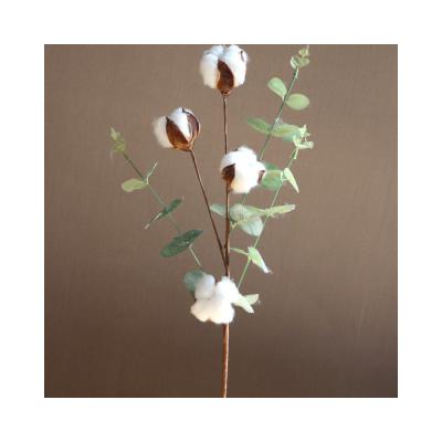 China Simulation  Dried Flower Plants Eucalyptus Leaf Cotton Branch 4 Head for sale