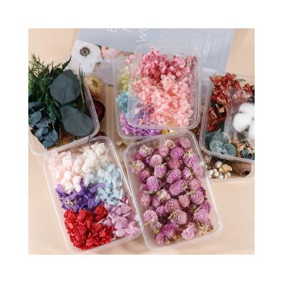 China Boxed Mixed Dried Flower Plants Candles Aromatherapy Diy Crafts for sale