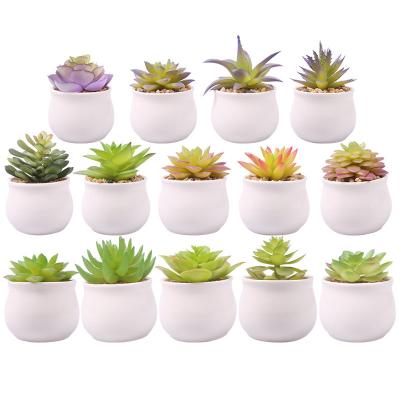 China Small Artificial Fake Succulent Plants With Ceramic Pot For Decoration for sale