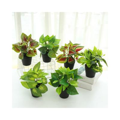 China Indoor Desktop Artificial Plant Simulation Greenery Foliage Potted Plant for sale