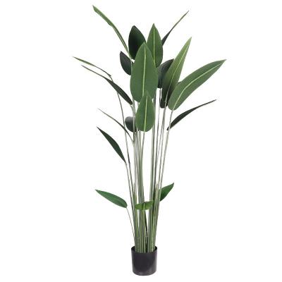 China Simulation Garden Decorative Plastic Plants  Artificial Banana Leaf for sale