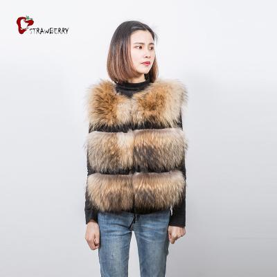 China 3 Segments Breathable Coffee Vest Factory Wholesale Raccoon Fur Vest Women Vest for sale