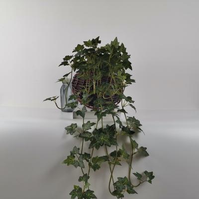 China Artificial Plant 60cm Artificial Plant for sale