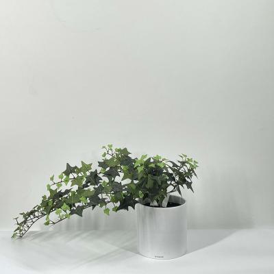 China Home Decoration Ivy Leaf for sale