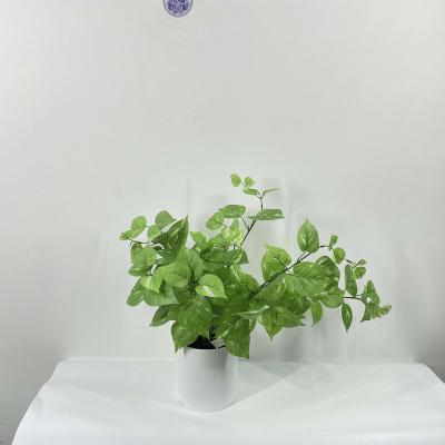 China Innovative Home Decoration Artificial Plant Design Carbon Fiber Fiberglass Flower Plant Pots Wall Hanging Garden for sale