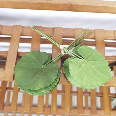 China Home Decoration Begonia Leaf for sale