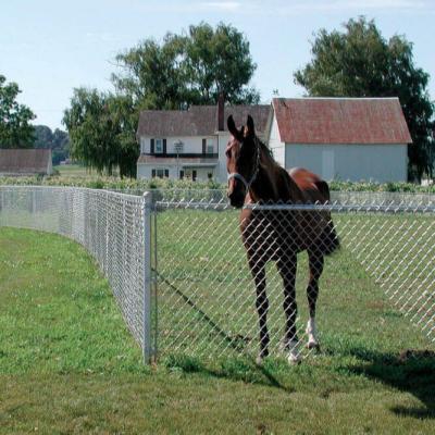 China Easily Assembled Pet Bottle Animal Fence Wire Mesh Aviary Chicken Horse Coop Welded Hutch 1x1inch Galvanized for sale