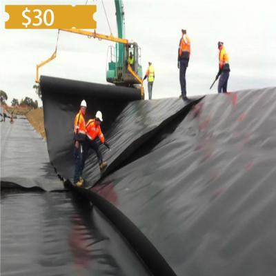 China Pond Liner Shop Sales Promotion New Geomembrane Liner 2mm HDPE Canton Geomembrane for sale