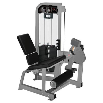 China Universal Wholesale Bestselling Fitness Equipment Power Machine Leg Extender for sale