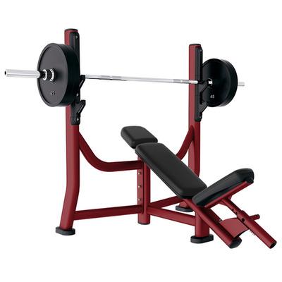 China Universal Hot Selling High Quality Strength Training Gym Fitness Equipment Lift Slant Bar Weightlifting Bench for sale