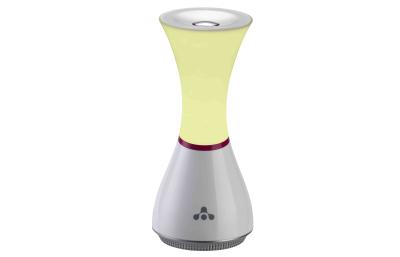 China Modern touch switch Rechargeable LED Table Lamp with Mic SD card speaker for sale