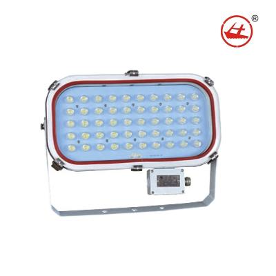 China MARINE Huaji Marine Spot Light TG20 30W 50W 100W LED Flood Lights Floodlight for sale