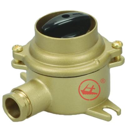 China Marine Boat Huaji Type 10A/16A Marine Superior Quality Brass Switch HH 101(1133) for sale