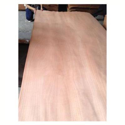 China Hotel Rotary Cut Sliced ​​0.5mm Cut Natural Mahogany Wood Veneer Okume Veneers for sale