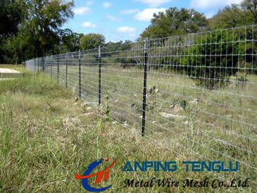 China Hinge Joint Wire Mesh/Field Fence, High Strength&Corrosion Resistance for sale