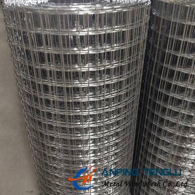 China AISI304/DIN1.4301 Welded Wire Mesh, 1/4