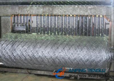 China Stainless Steel Hexagonal Wire Mesh/ Hexagonal Wire Netting, With High Strength for sale