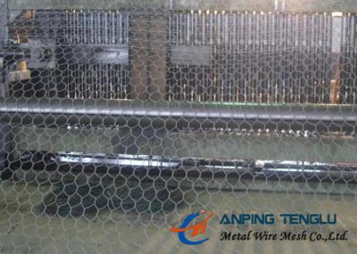 China Hexagonal Wire Netting With Corrosion Resostamce & Oxdation Resistance for sale