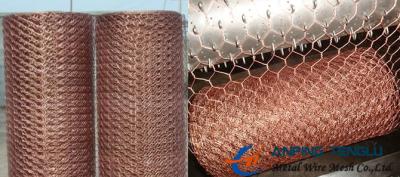 China Brass/Copper Hexagonal Wire Mesh, Mainly Used as Decorative Mesh en venta