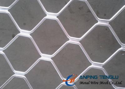 China Beautiful Grid Mesh for Protection, Firm Structure & Corrosion Resistance for sale