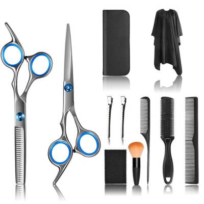 China Amazon Hot Sale 2020 Professional Hair Thinning Scissors Barber Scissors Hair Cutting Thinning Scissors Cut Set for sale