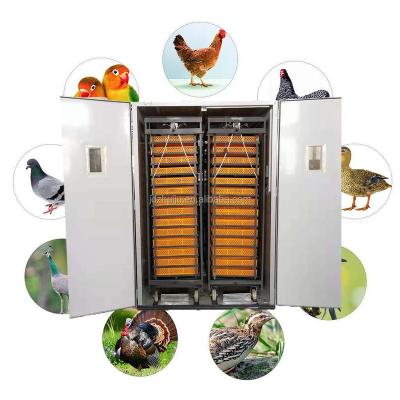 China Automatic Egg Turning 8448 Chicken Egg Incubator Automatic Hatching Eggs for sale