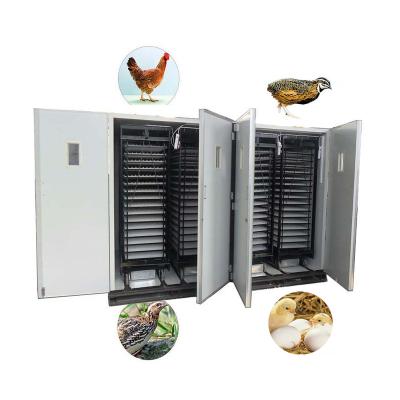 China Poultry Farm Large Capacity 19712 Chicken Egg Incubator HJ-I24 Automatic Hatching Eggs for sale