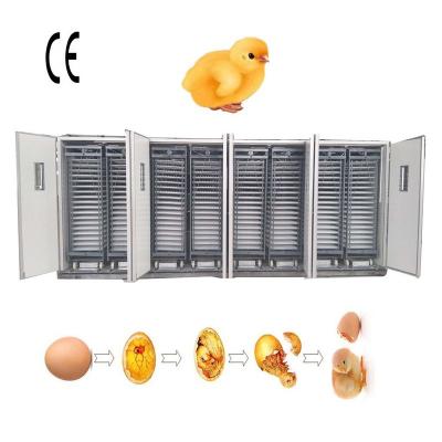 China Full Automatic Factory 50000 Chicken Poultry Egg Incubator Automatic Egg Turning for sale