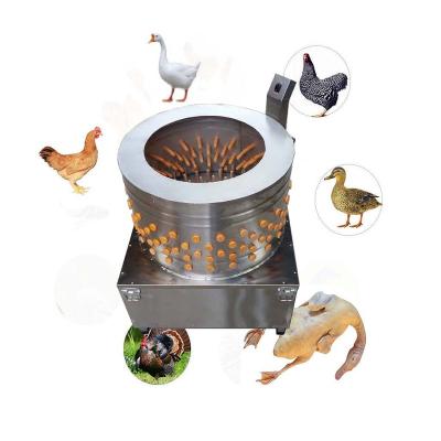 China High efficiency multifunctional commercial chicken feather plucker machine HJ-80B for sale