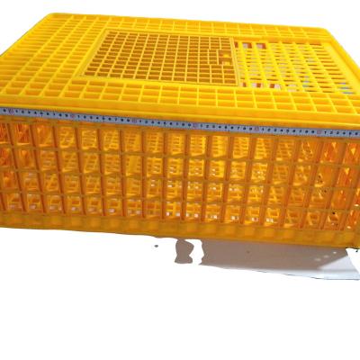 China Durable Top Selling European Plastic Live Poultry Chicken Transport Crates HJ-DN018 for sale