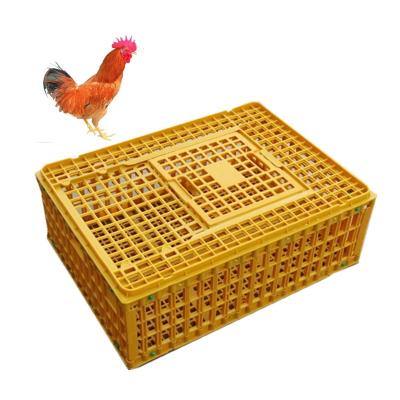 China Durable 100% Pure PE Chicken Transport Crates Birds Poultry Crates Transport for sale