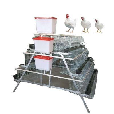 China Farms Animal Cages Poultry Farm Chicken Battery Layer Cages For Layers HJ-AC120 for sale